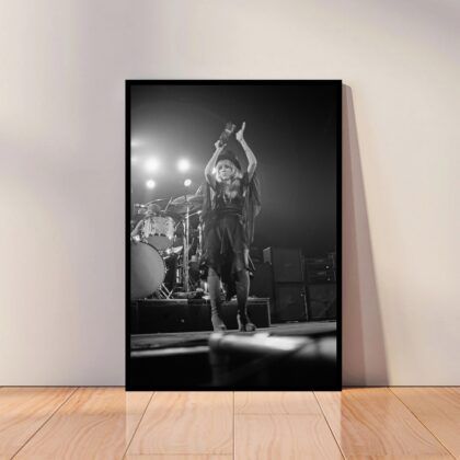 Stevie Nicks Music Poster Canvas Wall Art Home Decor (No Frame)