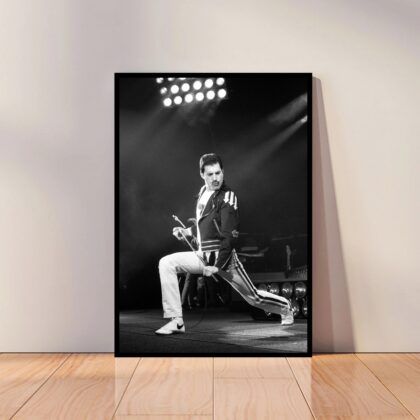 Freddie Mercury Music Poster Canvas Wall Art Home Decor (No Frame)