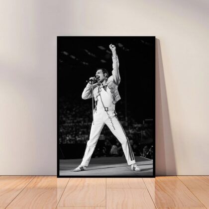 Freddie Mercury Music Poster Canvas Wall Art Home Decor (No Frame)