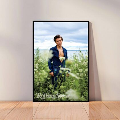 Harry Styles Music Poster Canvas Wall Art Home Decor (No Frame)