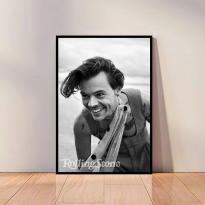 Harry Styles Music Poster Canvas Wall Art Home Decor (No Frame)