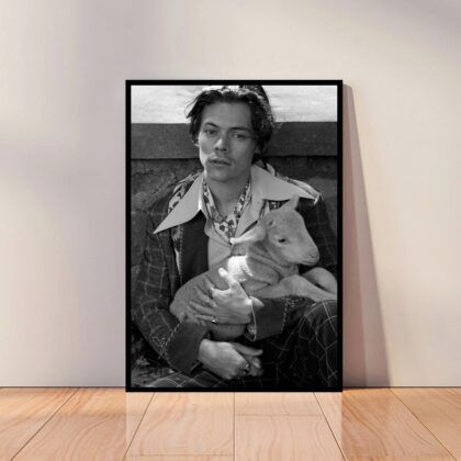 Harry Styles Music Poster Canvas Wall Art Home Decor (No Frame)
