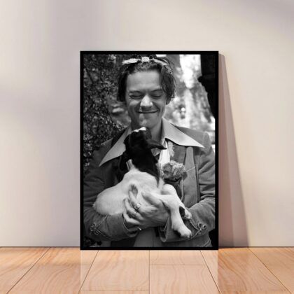 Harry Styles Music Poster Canvas Wall Art Home Decor (No Frame)