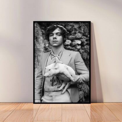 Harry Styles Music Poster Canvas Wall Art Home Decor (No Frame)