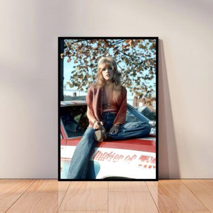 Stevie Nicks Music Poster Canvas Wall Art Home Decor (No Frame)