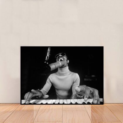 Stevie Wonder Music Poster Canvas Wall Art Home Decor (No Frame)
