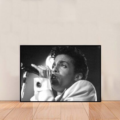 Prince Rogers Nelson Music Poster Canvas Wall Art Home Decor (No Frame)