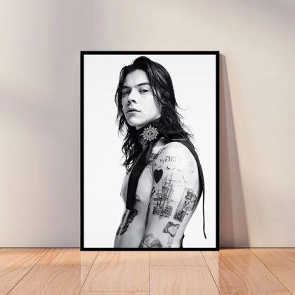 Harry Styles Music Poster Canvas Wall Art Home Decor (No Frame)