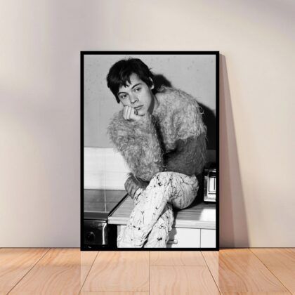 Harry Styles Music Poster Canvas Wall Art Home Decor (No Frame)