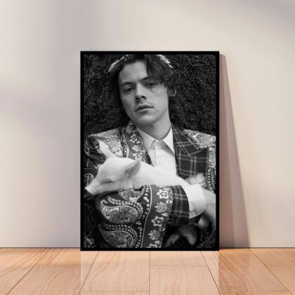 Harry Styles Music Poster Canvas Wall Art Home Decor (No Frame)