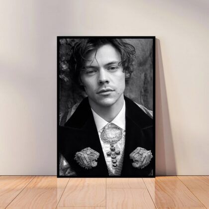 Harry Styles Music Poster Canvas Wall Art Home Decor (No Frame)