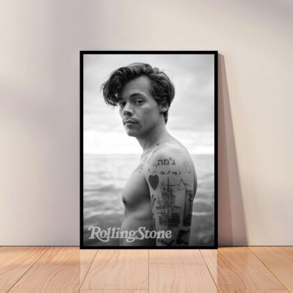 Harry Styles Music Poster Canvas Wall Art Home Decor (No Frame)