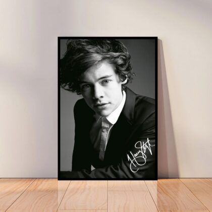 Harry Styles Music Poster Canvas Wall Art Home Decor (No Frame)