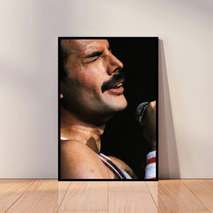 Freddie Mercury Music Poster Canvas Wall Art Home Decor (No Frame)