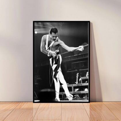 Freddie Mercury Music Poster Canvas Wall Art Home Decor (No Frame)