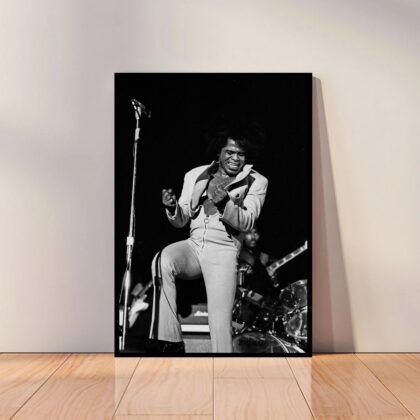 James Brown Music Poster Canvas Wall Art Home Decor (No Frame)