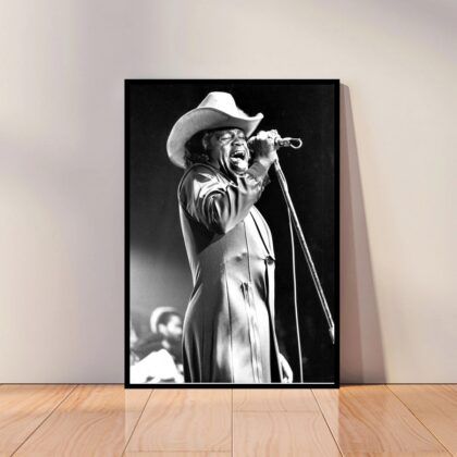 James Brown Music Poster Canvas Wall Art Home Decor (No Frame)
