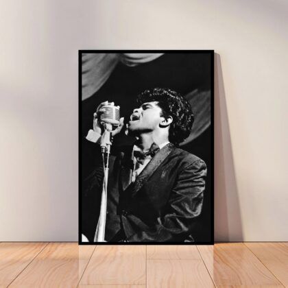 James Brown Music Poster Canvas Wall Art Home Decor (No Frame)