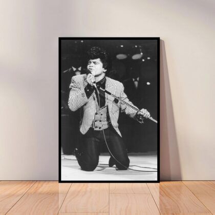 James Brown Music Poster Canvas Wall Art Home Decor (No Frame)