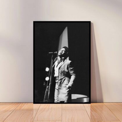 James Brown Music Poster Canvas Wall Art Home Decor (No Frame)