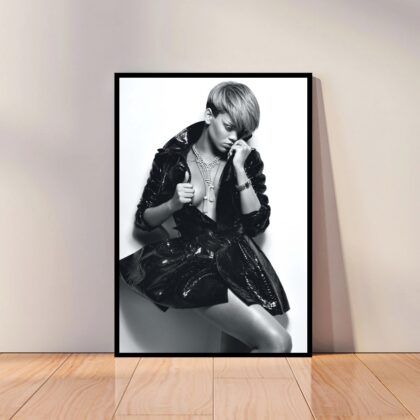 Rihanna Music Poster Canvas Wall Art Home Decor (No Frame)