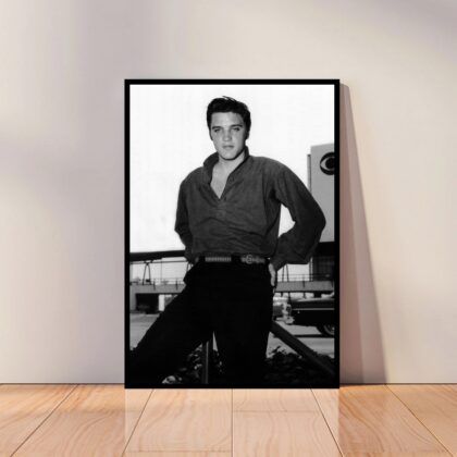 Elvis Presley Music Poster Canvas Wall Art Home Decor (No Frame)