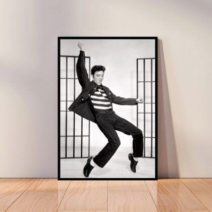 Elvis Presley Music Poster Canvas Wall Art Home Decor (No Frame)