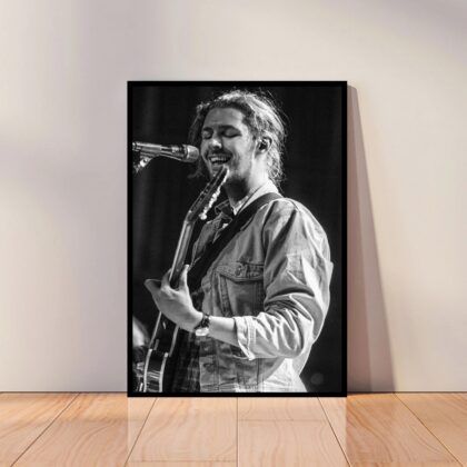 Andrew Hozier-Byrne Music Poster Canvas Wall Art Home Decor (No Frame)