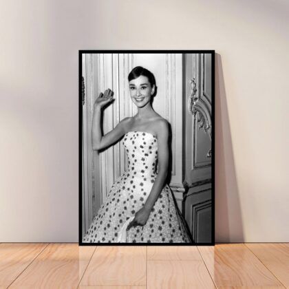 Audrey Hepburn Movie Star Poster Canvas Wall Art Home Decor (No Frame)