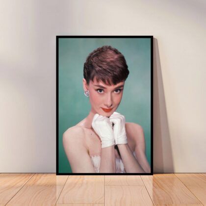 Audrey Hepburn Movie Star Poster Canvas Wall Art Home Decor (No Frame)