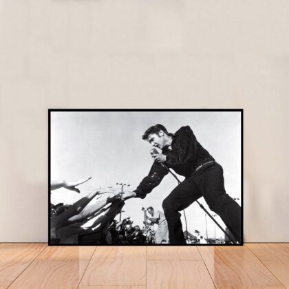 Elvis Presley Music Poster Canvas Wall Art Home Decor (No Frame)