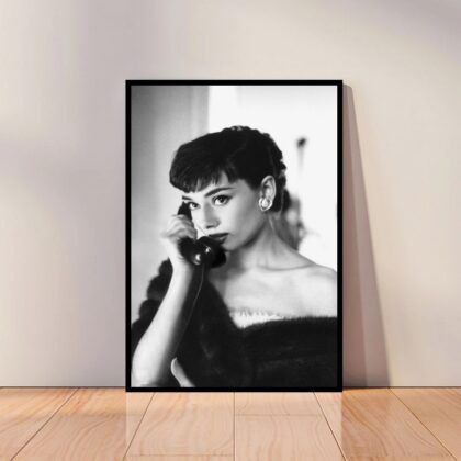 Audrey Hepburn Movie Star Poster Canvas Wall Art Home Decor (No Frame)