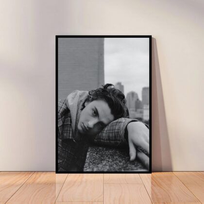 Call Me by Your Name Movie Poster Canvas Wall Art Home Decor (No Frame)