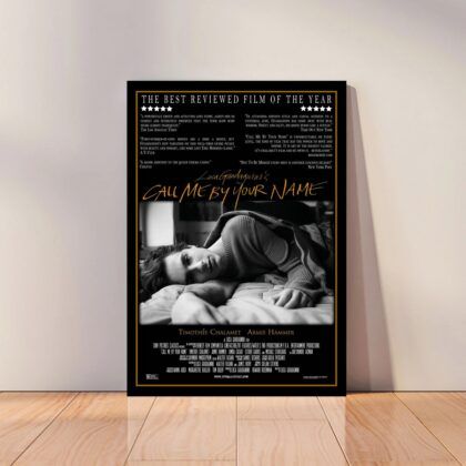 Call Me by Your Name Movie Poster Canvas Wall Art Home Decor (No Frame)
