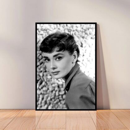 Audrey Hepburn Movie Star Poster Canvas Wall Art Home Decor (No Frame)