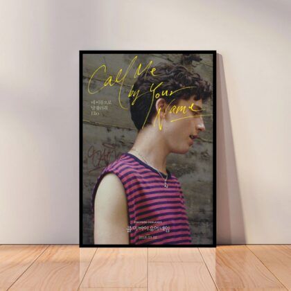 Call Me by Your Name Movie Poster Canvas Wall Art Home Decor (No Frame)