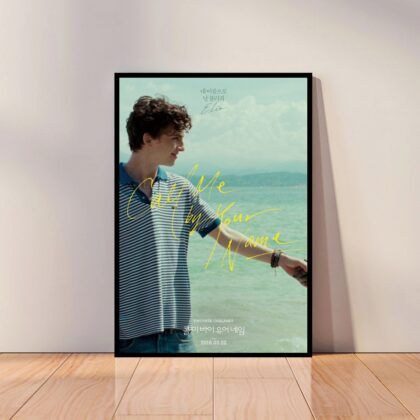 Call Me by Your Name Movie Poster Canvas Wall Art Home Decor (No Frame)