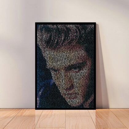 Elvis Presley Music Poster Canvas Wall Art Home Decor (No Frame)