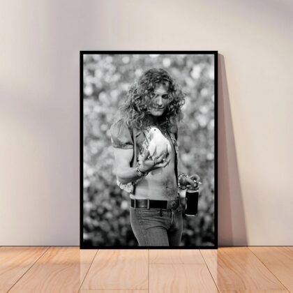 Led Zeppelin Music Poster Canvas Wall Art Home Decor (No Frame)
